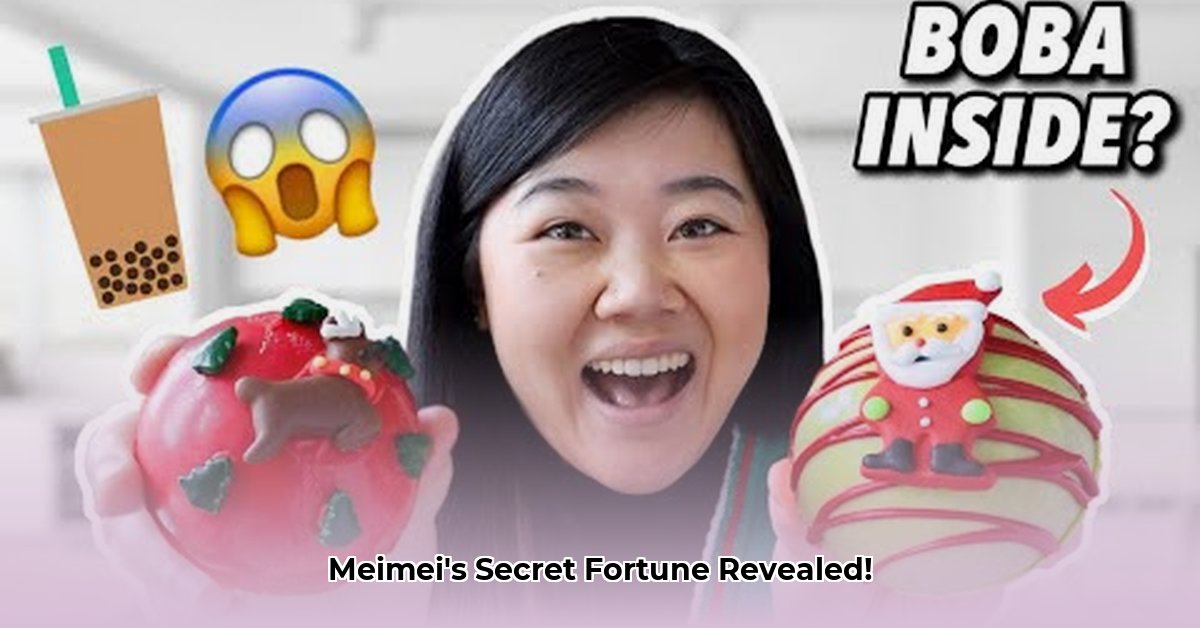 feed-meimei-net-worth